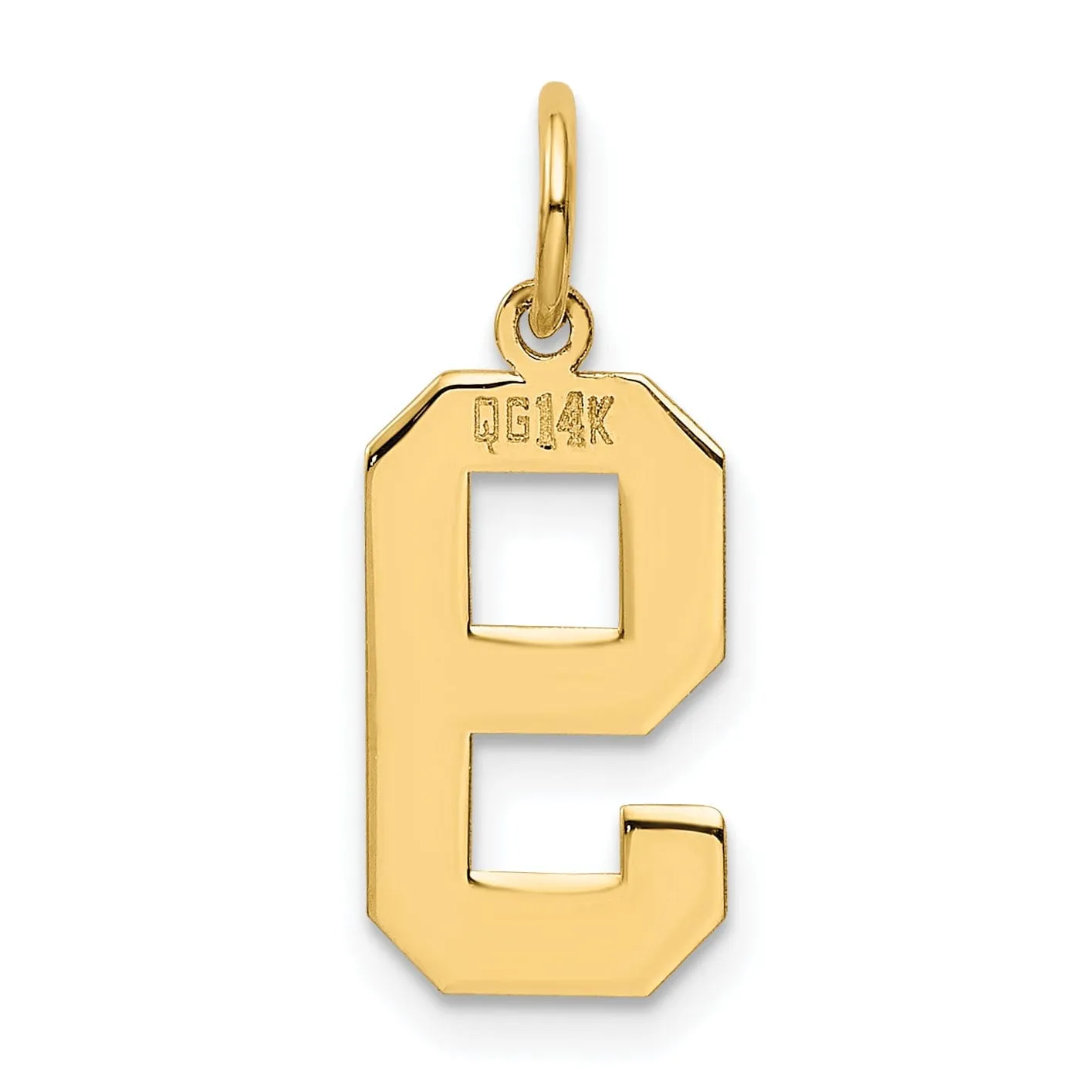 14K Yellow Gold Polished Finish Medium Size Number 9 Charm Pendant