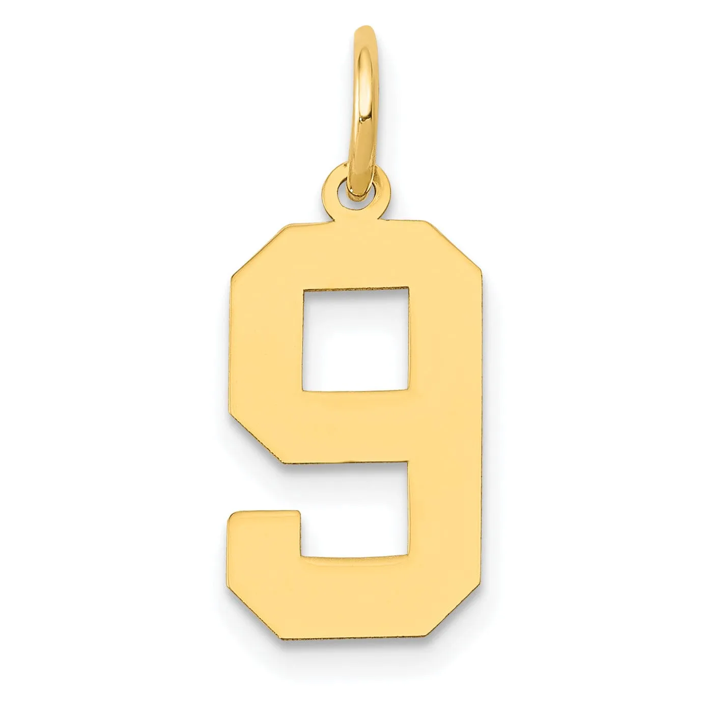 14K Yellow Gold Polished Finish Medium Size Number 9 Charm Pendant