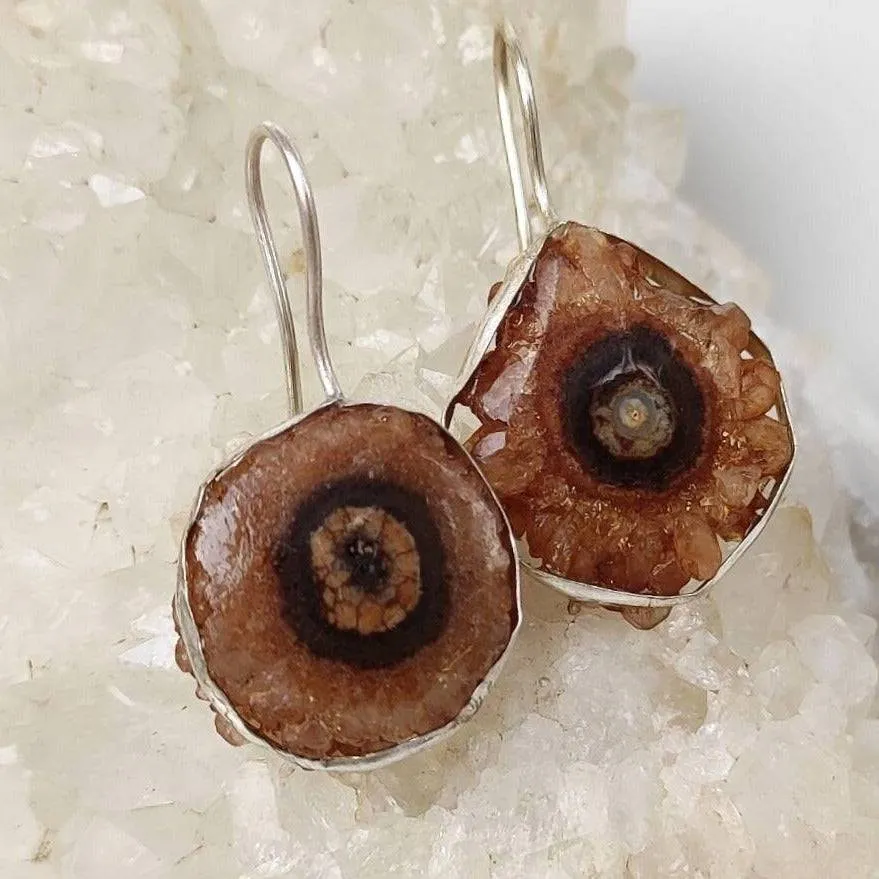 Brown Agate Geode Crystal Earrings