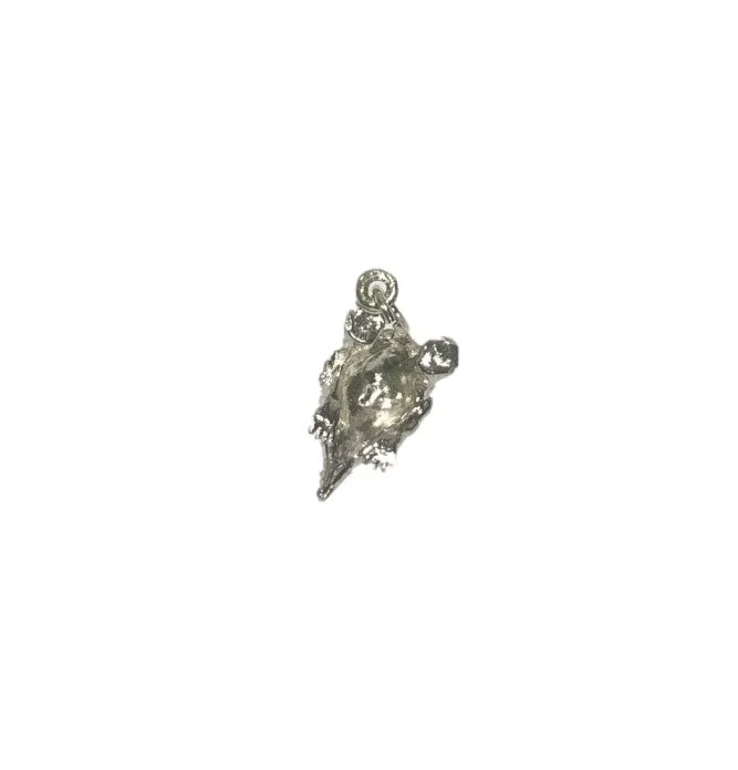 Echidna Silver Charm