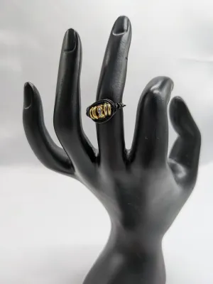 Gold Rings on Black Ring